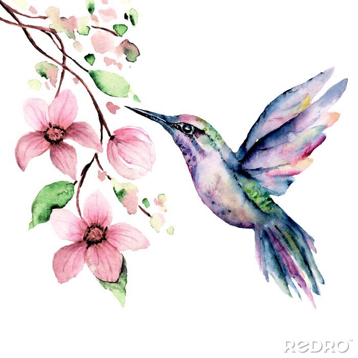 Canvas Kleurrijke aquarel vogel