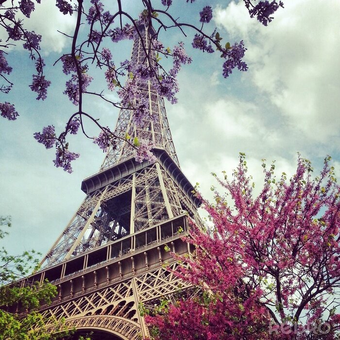 Canvas Kleurrijke bloemen rond Tour Eiffel in de lente