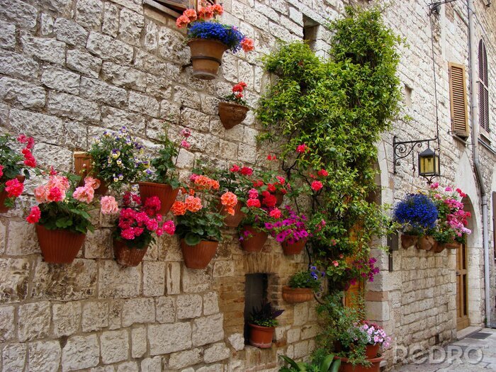 Canvas Kleurrijke bloemen voering een middeleeuwse stenen muur in Italië