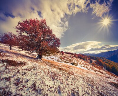 Canvas Kleurrijke herfst landschap in de bergen.