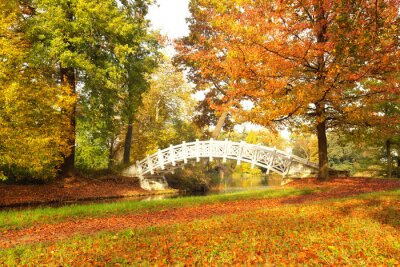Canvas kleurrijke oktober dag in het park