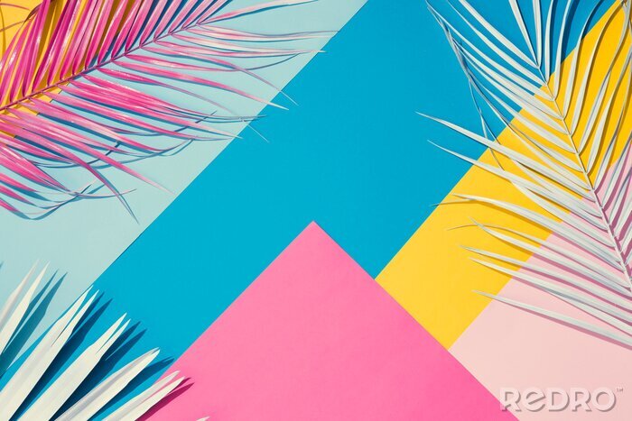 Canvas Kleurrijke palmbladeren op een gekleurde achtergrond