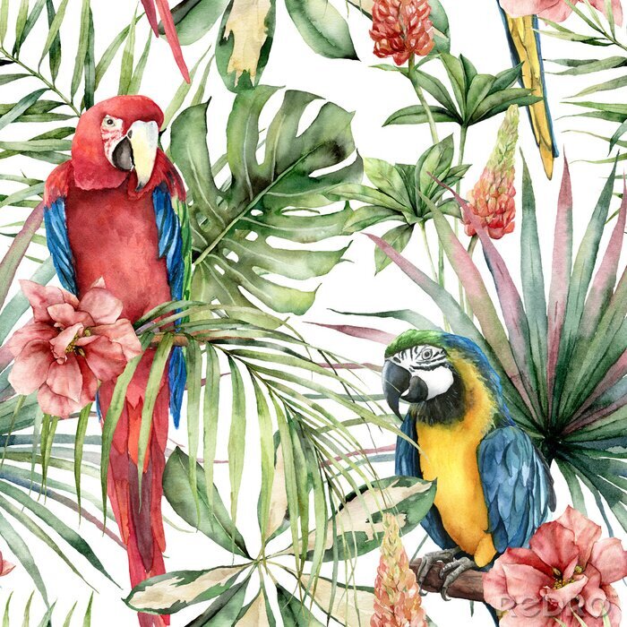 Canvas Kleurrijke papegaaien en hibiscus