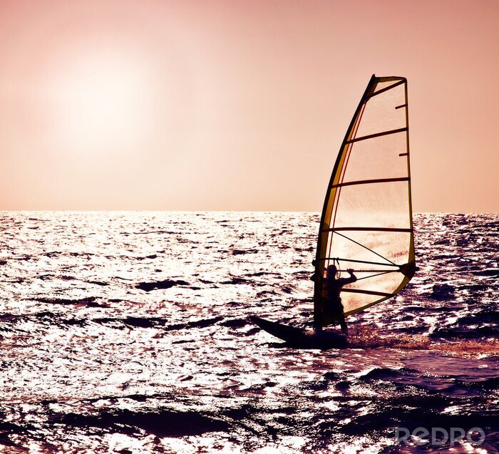 Canvas Kleurrijke sport van windsurfers