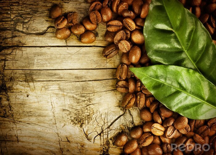 Canvas Koffiebonen bladeren en hout