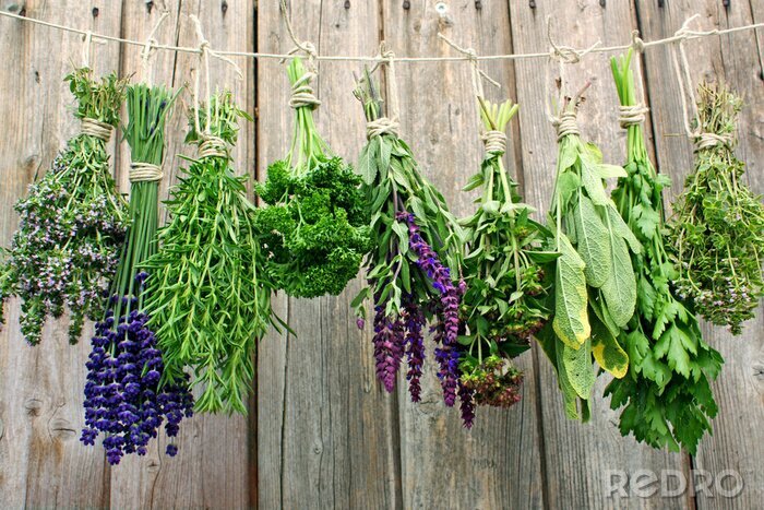 Canvas Kruiden om te drogen