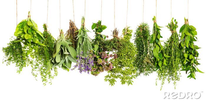 Canvas kruiden opknoping geïsoleerd op wit. voedselingrediënten