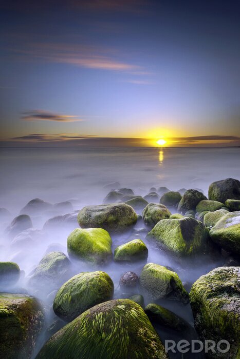 Canvas Kustnatuur met mist