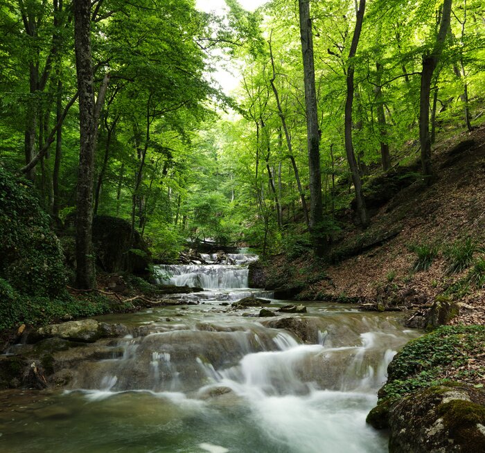 Canvas Lage bos waterval