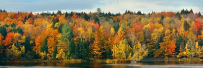 Canvas Lake Gebladerte van de herfst