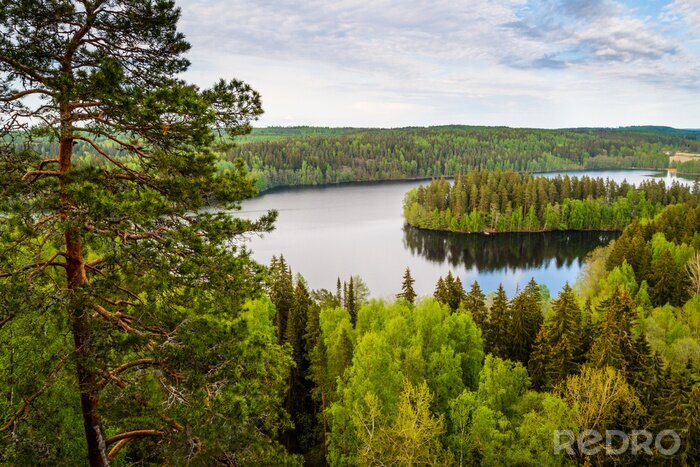 Canvas Lakeview in Finland