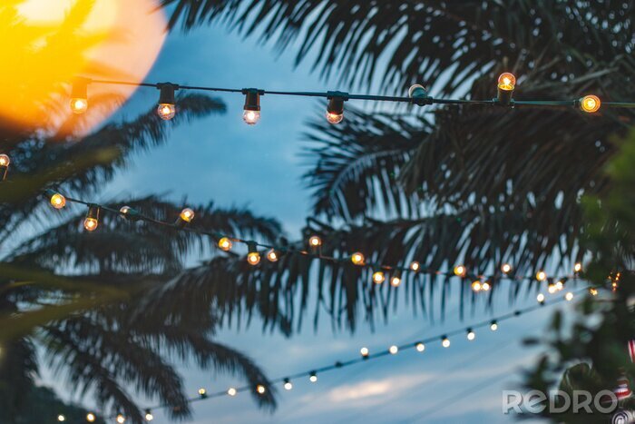 Canvas Lampen tussen palmbladeren