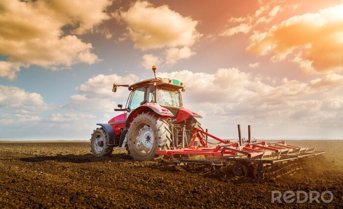 Canvas Landbouwer in tractor voorbereiding land met zaaibed cultivator