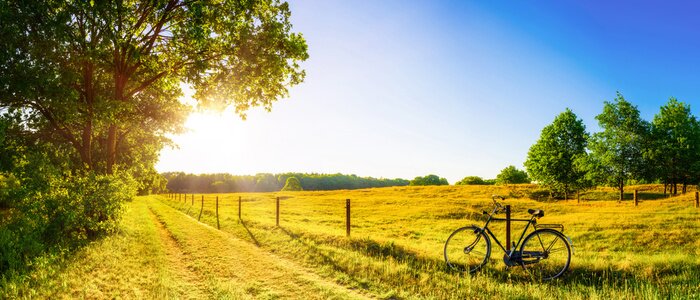 Canvas Landscape in summer with trees and meadows in bright sunshine
