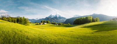Fotobehang Landschap met alpenweide en besneeuwde bergtoppen