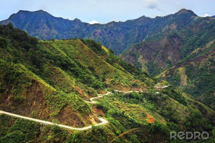 Canvas Landschap met een bergweg