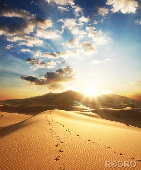 Canvas Landschap met voetafdrukken in de woestijn