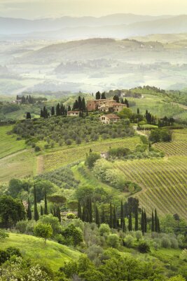 Landschap van Toscane vanaf een heuvel