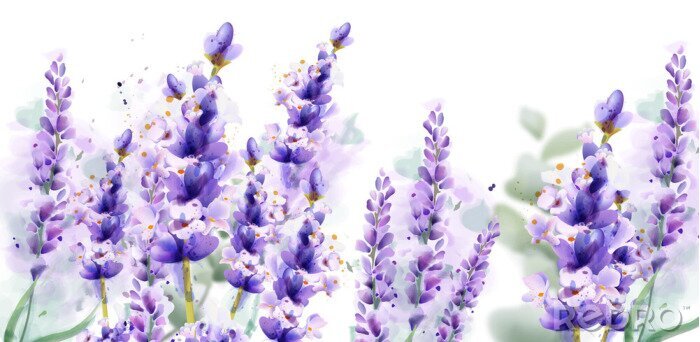 Canvas Lavendel bloemen close-up