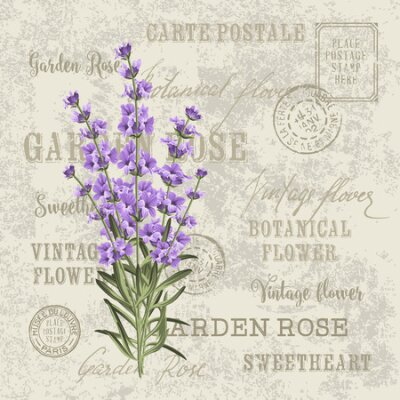 Canvas Lavendel op de achtergrond van het briefpapier