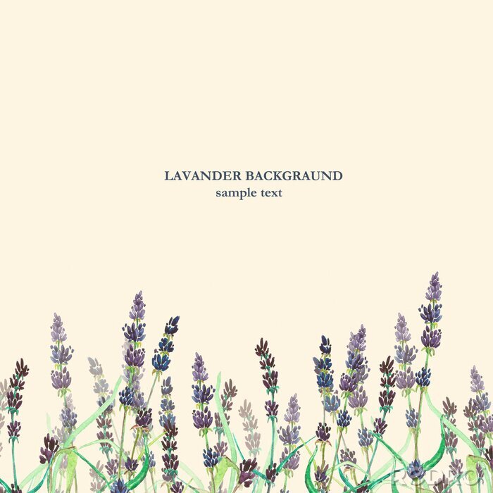 Canvas Lavendel op een beige achtergrond