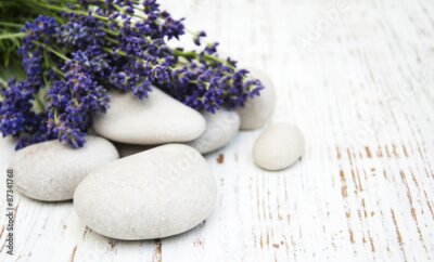 Canvas Lavendeltakjes op witte stenen