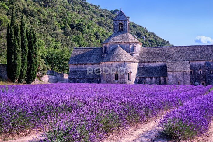 Canvas Lavendelvelden bij Senanque klooster, Provence, Frankrijk