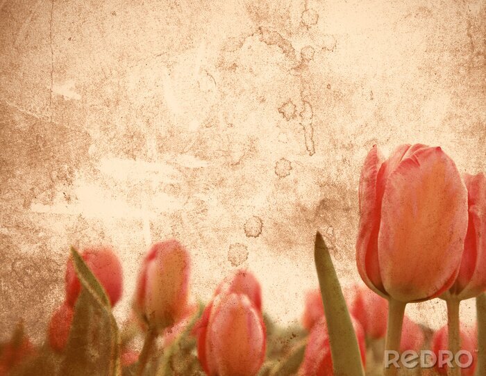 Canvas Leeftijd afbeelding van tulpen