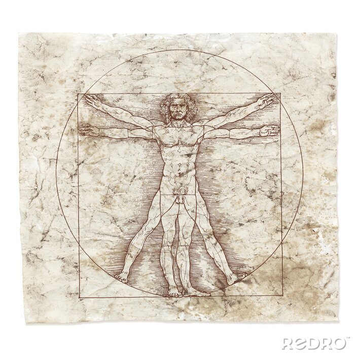 Canvas Leonardo da Vinci