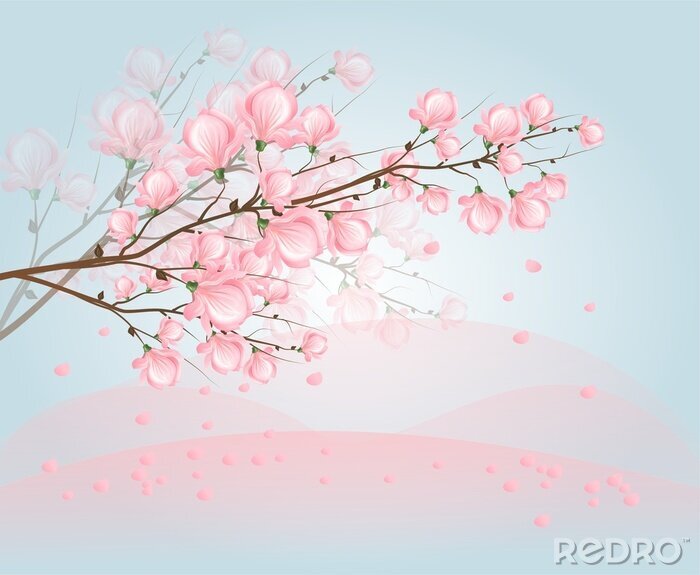 Canvas Licht roze magnolia bloesem op hemel