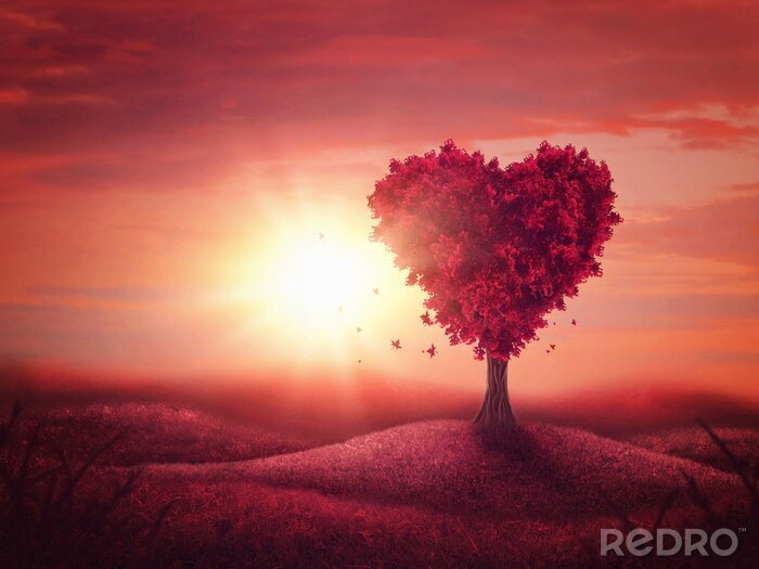 Canvas liefde boom hart