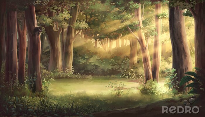 Canvas Light and forest - Afternoon , Anime background , Illustration.	