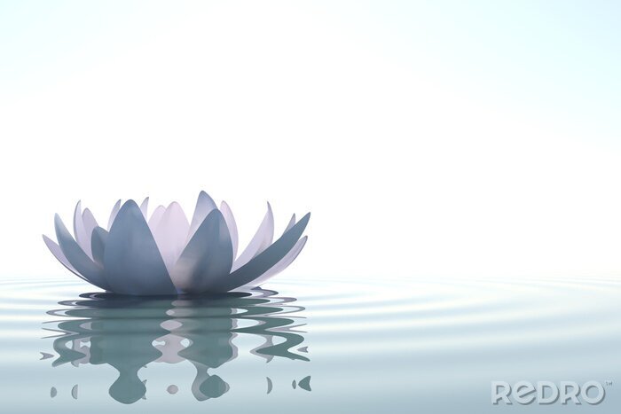 Canvas Lotus op het water