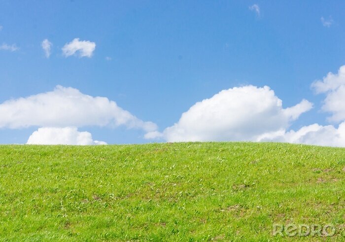 Canvas Low angle shot of the top of a hill with grassy field