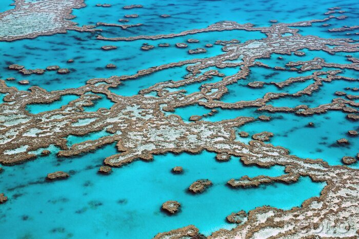 Canvas Luchtfoto Great Barrier Reef Australië-3