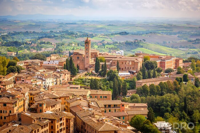 Canvas Luchtfoto uitzicht over stad Siena