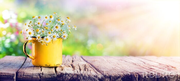 Canvas Madeliefjes in een potje