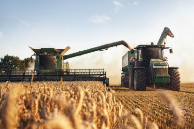 Canvas Mähdrescher und Traktor bei der Ernte auf einem Weizenfeld