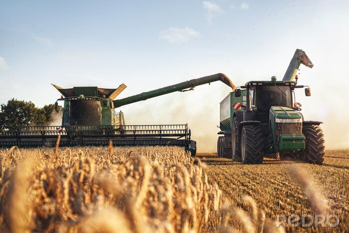 Canvas Mähdrescher und Traktor bei der Ernte auf einem Weizenfeld