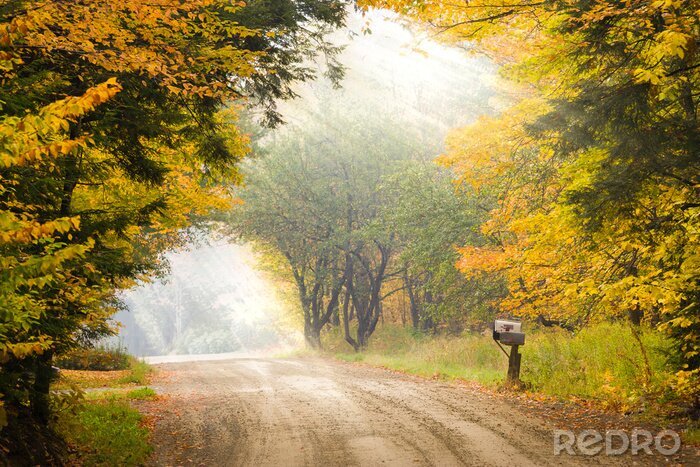 Canvas Mailbox op een paal aan de kant van een onverharde weg in de herfst bladeren