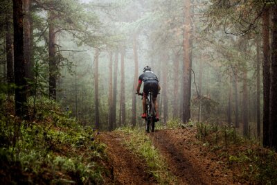Canvas mannelijke atleet mountainbiker rijdt op een fiets langs een bospad. in het bos mist, mysterieuze view