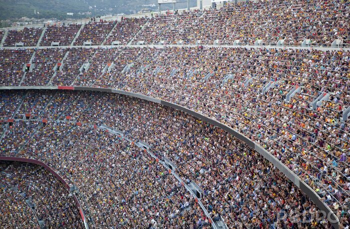 Canvas Massa's fans in het stadion