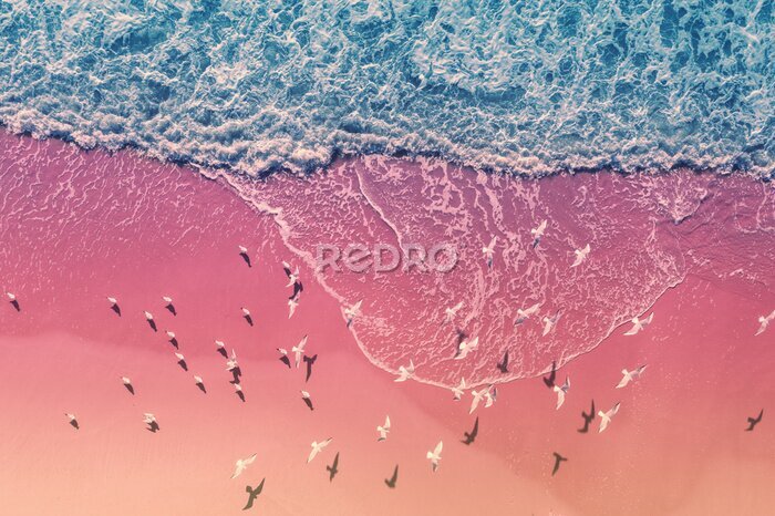 Canvas Meeuwen over het roze strand