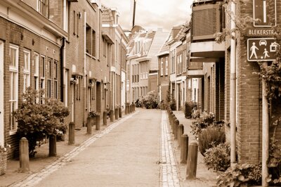 Mening van kleine gezellige zijstraat in Haarlem in bewolkte lentedag