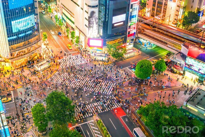 Canvas Mensen op een kruispunt in Tokio