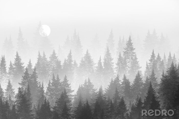 Canvas Minimalistisch bos in mist. Digitaal schilderij.
