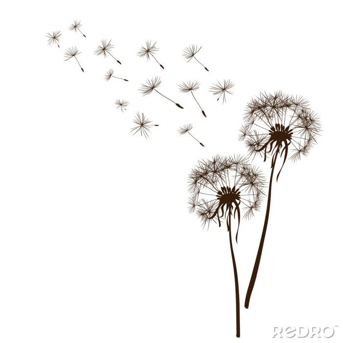 Canvas Minimalistische graphics met paardenbloemen