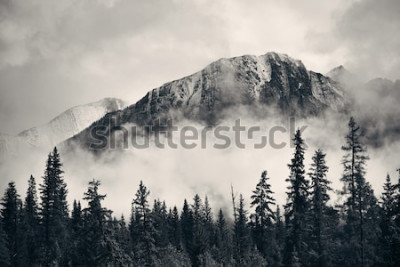Canvas Mist bergen