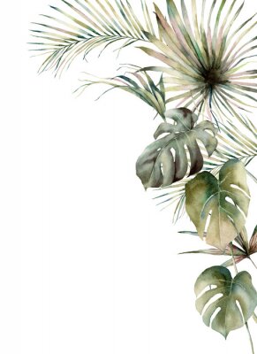 Monstera en palmbladeren