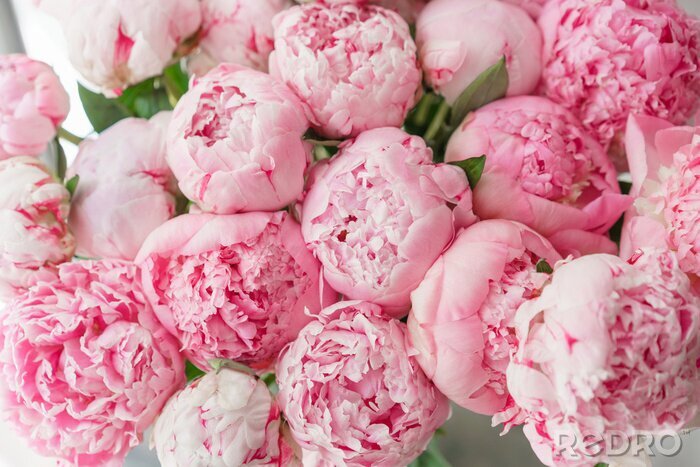 Canvas Mooi boeket van roze pioenrozen. Bloemensamenstelling, daglicht. Behang. Mooie bloemen in glazen vaas.